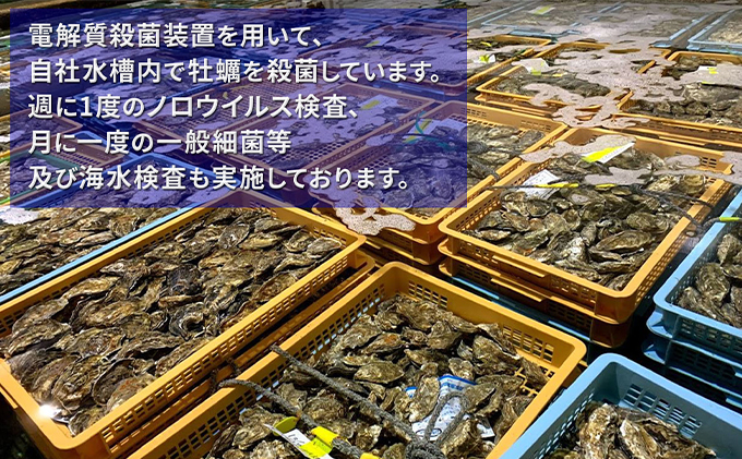 北海道厚岸町のふるさと納税 北海道厚岸産 生食用　殻付カキ3Lサイズ10個　マルえもん 魚貝類 海の幸 海のミルク 海鮮 国産 北海道産 オイスター つまみ お酒 あて 肴 生牡蠣 メルマガ掲載商品1