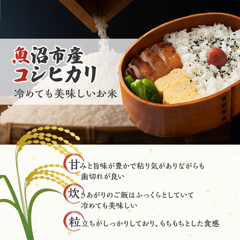 新潟県魚沼市のふるさと納税 令和6年産【雪国逸品 精米5kg】越後魚沼郷 魚沼産コシヒカリ お米 人 自然調和 ミネラル 奇跡 自然環境 努カ 香り つや 粘り 極上