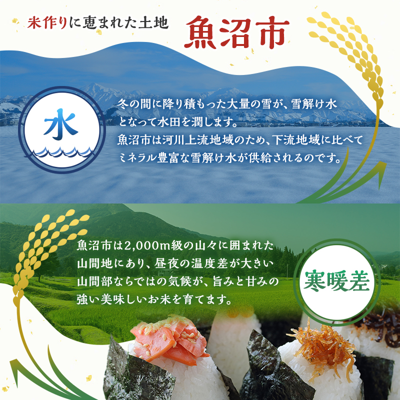 新潟県魚沼市のふるさと納税 令和6年産【雪国逸品 精米5kg】越後魚沼郷 魚沼産コシヒカリ お米 人 自然調和 ミネラル 奇跡 自然環境 努カ 香り つや 粘り 極上