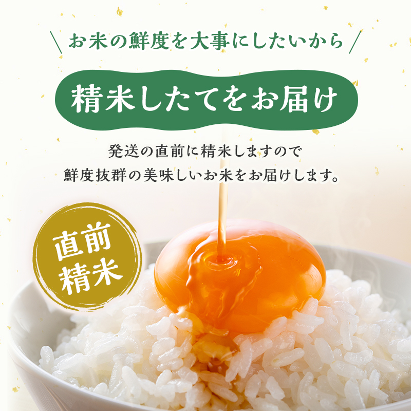 新潟県魚沼市のふるさと納税 令和6年産【雪国逸品 精米5kg】越後魚沼郷 魚沼産コシヒカリ お米 人 自然調和 ミネラル 奇跡 自然環境 努カ 香り つや 粘り 極上