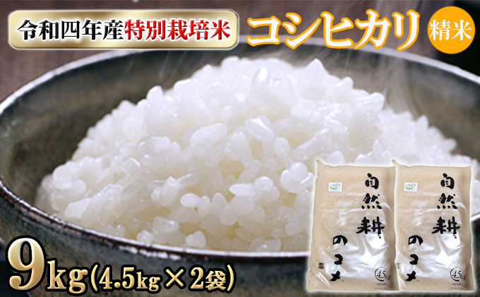 ショッピング店舗 【令和4年産】長野県コシヒカリ30キロ白米 米/穀物