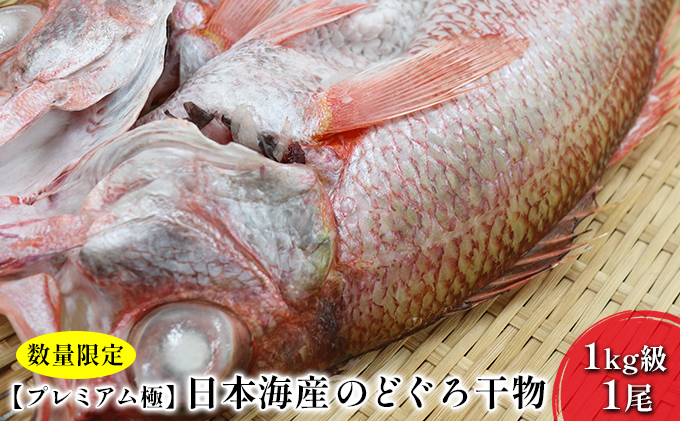 【プレミアム極】日本海産のどぐろ干物　1kg級　1尾（数量限定）