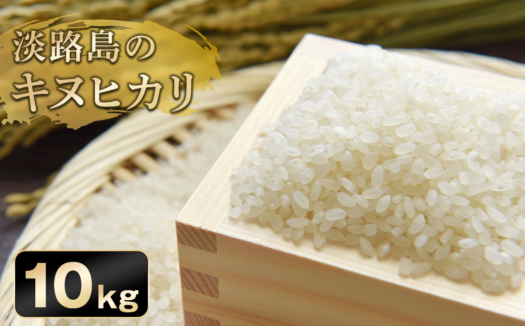 淡路日の出農協 淡路島のキヌヒカリ10kg（兵庫県淡路市） | ふるさと納税サイト「ふるさとプレミアム」