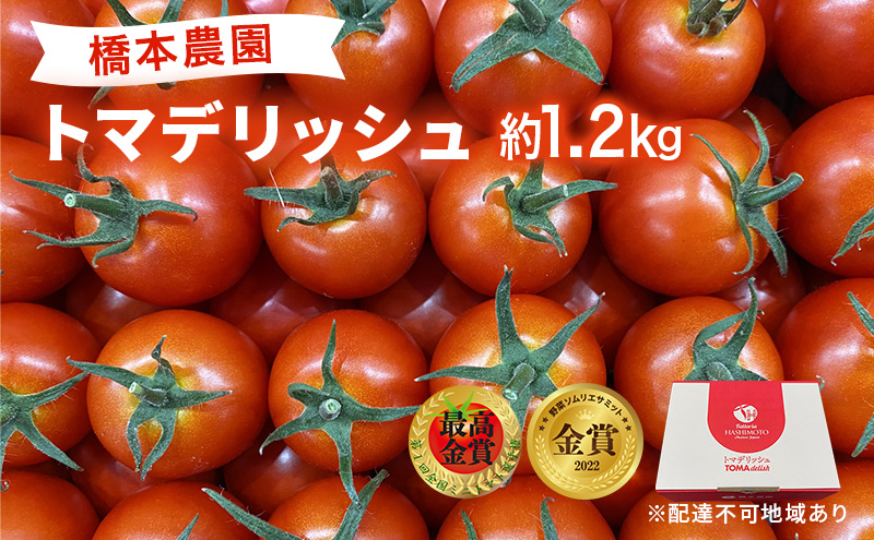 フルーツトマト［2023年先行予約］トマデリッシュ 約1.3kg 橋本農園 岡山