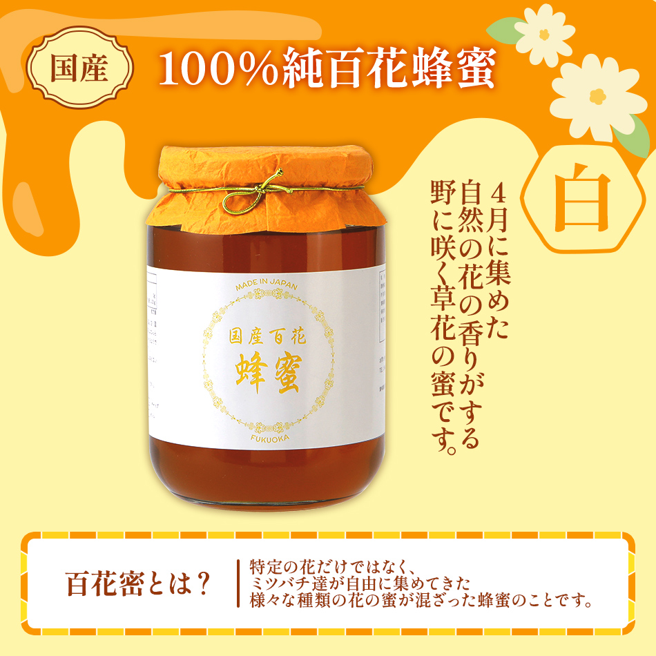 福岡県大木町のふるさと納税 国産蜂蜜ギフト 1,000g　白ラベル　CD01