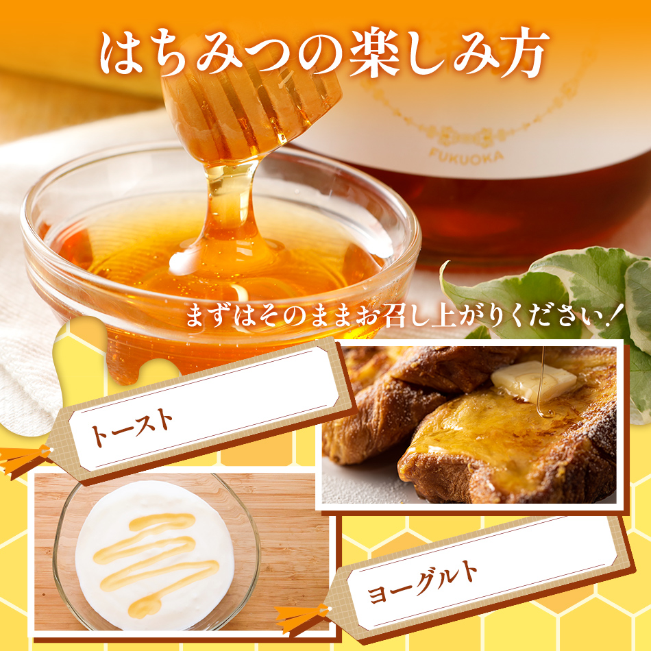 福岡県大木町のふるさと納税 国産蜂蜜ギフト 1,000g　白ラベル　CD01