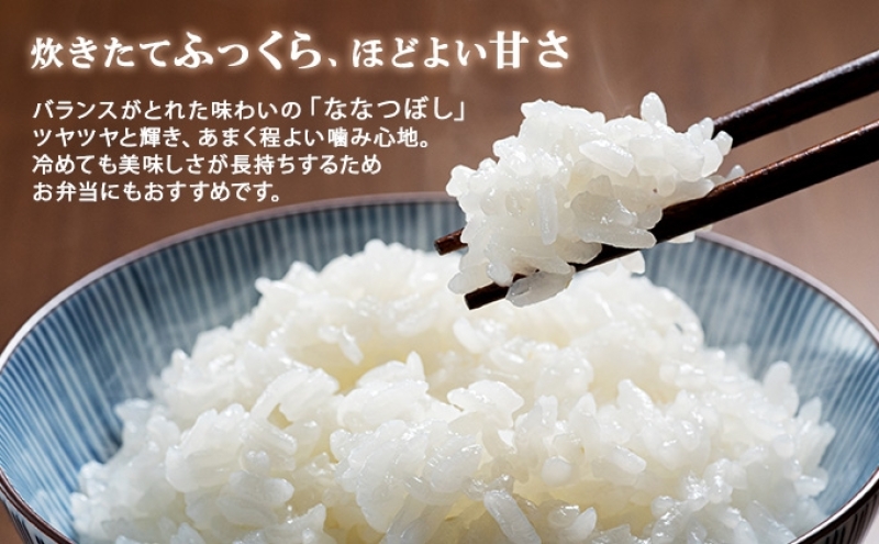 定期便 隔月3回 北海道産 ななつぼし 精米 20kg 5kg×4袋 米 新米 特A 白米 お取り寄せ ごはん 道産米 ブランド米 まとめ買い お米  ホクレン 北海道 倶知安町 【定期便・お米・ななつぼし・精米】|ようてい農業協同組合