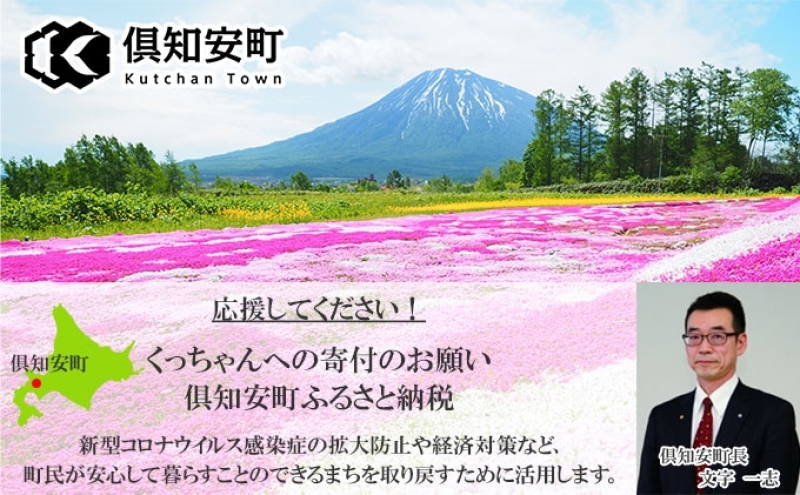 定期便 隔月3回 北海道産 ななつぼし 精米 20kg 5kg×4袋 米 新米 特A 白米 お取り寄せ ごはん 道産米 ブランド米 まとめ買い お米  ホクレン 北海道 倶知安町 【定期便・お米・ななつぼし・精米】|ようてい農業協同組合