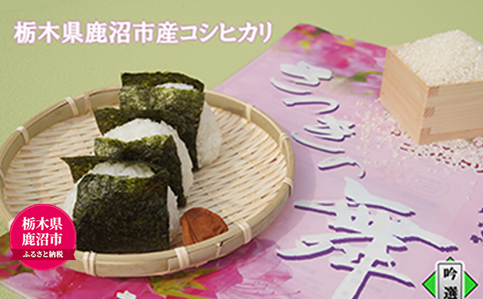 �y�Ȗ،������s�z���� �R�V�q�J�� �����̕� ��I 10kg�i5kg×2�j �b ���炩 �� �D�� �_�n ���I ���w�엿 �_�� ���S ���S ���R�� ���Ēቷ�ۊ� �i�� �N�x ��������