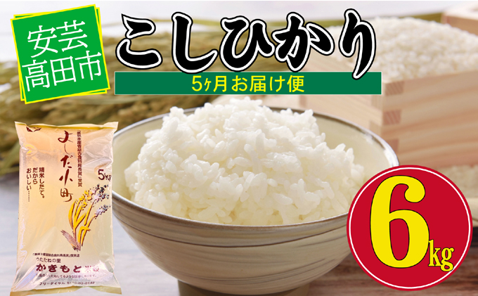 米 【5ヶ月お届け】令和5年産 安芸高田市産コシヒカリ6kg / 広島県安芸