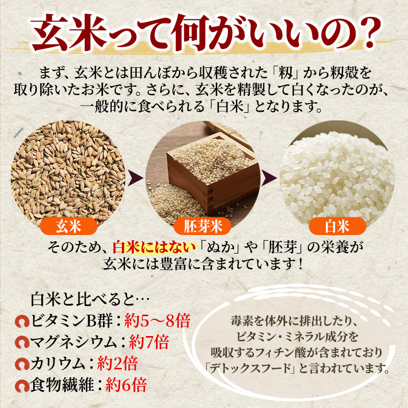 米 令和5年産 安芸高田市産ミルキークイーン『玄米』8kg / 広島県安芸