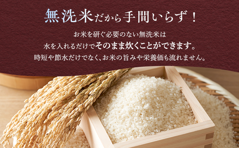 北海道富良野市のふるさと納税 【令和6年度産】富良野 山部米研究会【 ゆめぴりか 】無洗米 5kgお米 米 ご飯 ごはん 白米  送料無料 北海道 富良野市 道産 直送 ふらの