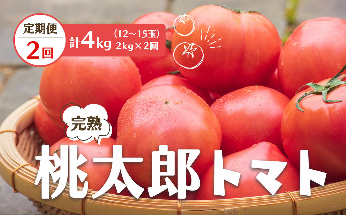 [定期便2回]桃太郎 トマト(12〜15玉)約2kg×2回 (計4kg)