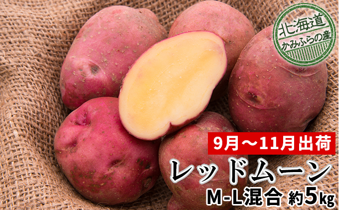 じゃがいも【レッドムーン】約5kg（M～L混合）≪北海道上富良野産