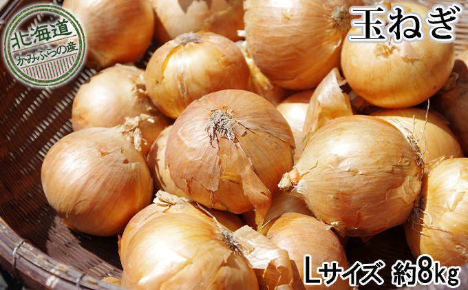 北海道 上富良野 町産 秋野菜 詰め合わせ セット 約 10kg 北海道 上富良野 町産 秋野菜 詰め合わせ セット 約 10kg