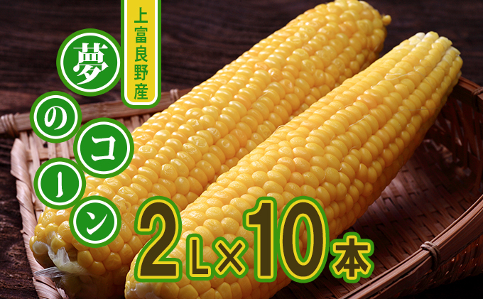 地元上富良野産 ビック夢のコーンとうもろこし15本セット 野菜 
