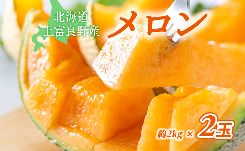 ふらの赤肉メロン【秀品】Lサイズ2玉セット 果物類 フルーツ