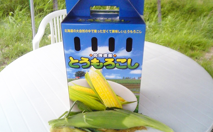 地元上富良野産 ビック夢のコーンとうもろこし15本セット 野菜 