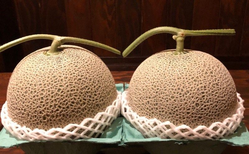 北海道 上富良野産 最上等級“ 秀品 赤肉メロン ” 糖度14度 以上（1.6kg～1.99kg）×2玉 メロン めろん デザート フルーツ 果物 果物類 メロン赤肉 