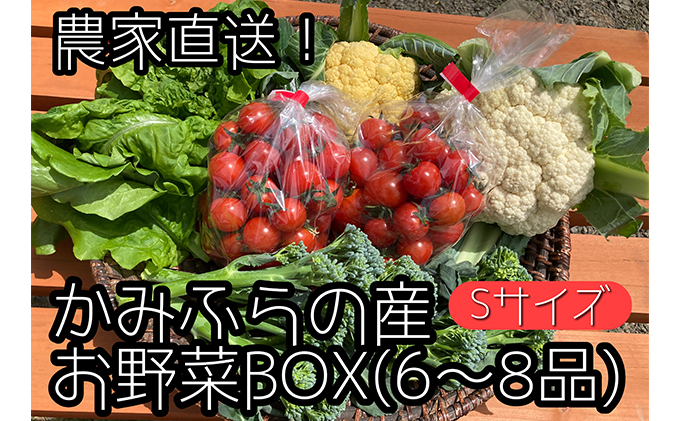 2024年8月上旬頃から発送】農家直送！ミニトマト500g入り！朝採れ新鮮