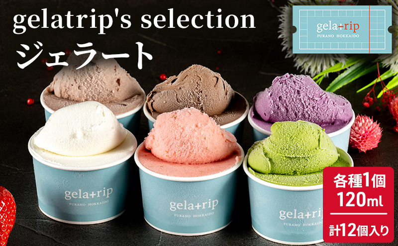 gelatrip's selection ジェラート12個 BOX 北海道 上富良野町 アイス 