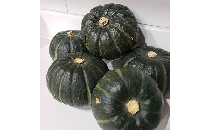 北海道上富良野町産【農薬不使用】坊ちゃんかぼちゃ約1.8kg | 北海道上 