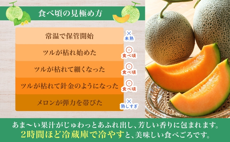 北海道月形町のふるさと納税 【2025年夏発送】北海道 赤肉メロン 北の女王 青肉メロン 月雫 秀品 約1.6kg 各2玉 令和7年 メロン 果物 フルーツ 旬 希少 甘い 豊潤 国産 ご褒美 産地直送 ギフト お祝い 贈答品 贈り物 お中元 常温 お取り寄せ