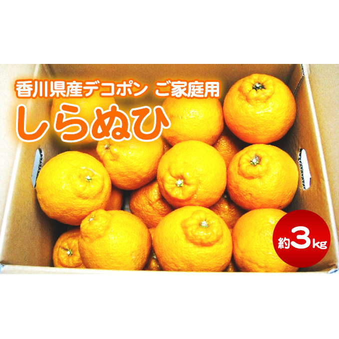ƒpʂЁ@Rkg