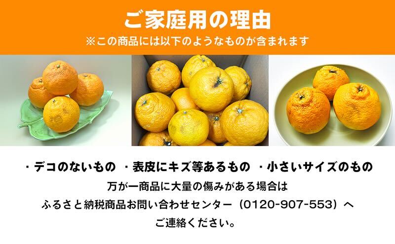 ご家庭用しらぬひ 約３kg デコポン（香川県東かがわ市） ふるさと納税サイト「ふるさとプレミアム」