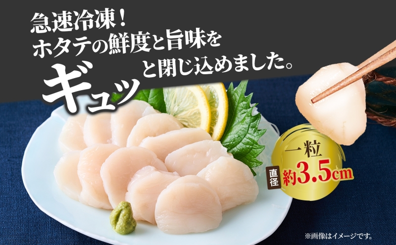 送料無料 海産品 北海道産 帆立貝柱 (刺身用) 帆立貝柱(玉冷・北海道産