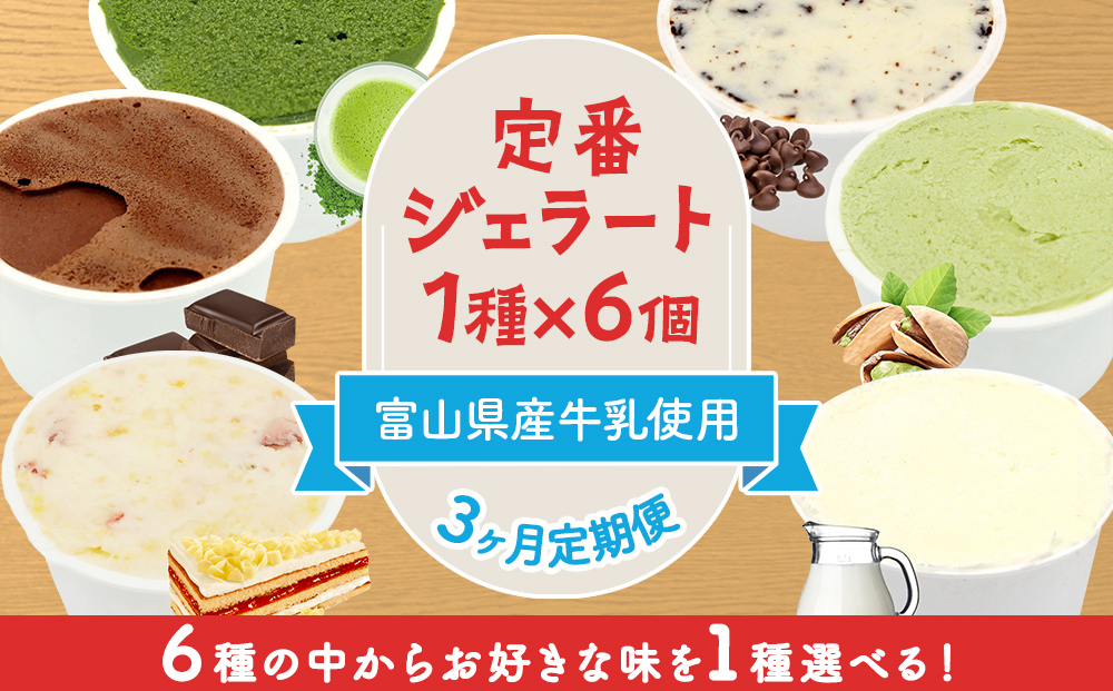 [3ヶ月定期便][Himi Gelato]定番ジェラート6個(お好きな味1種類) チョコチップ