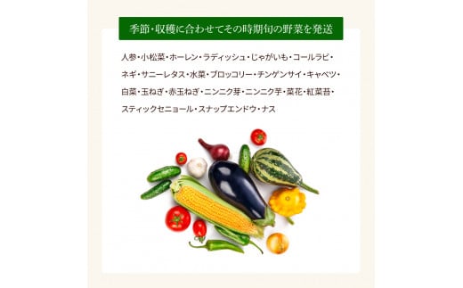 野菜セット（7‐9種類） 《3カ月定期便》 栽培期間中農薬不使用！ 季節の野菜 定期コース 定期 無農薬 野菜 やさい 新鮮 自然 健康 セット  詰め合わせ 冷蔵 美味しい おいしい 食べ物 食材 秋 旬の味覚 ご当地 お取り寄せ 芸西村 15000円 故郷納税