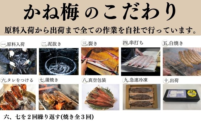 ふるさと納税 蟹江町 国産うなぎ白焼き2尾セット