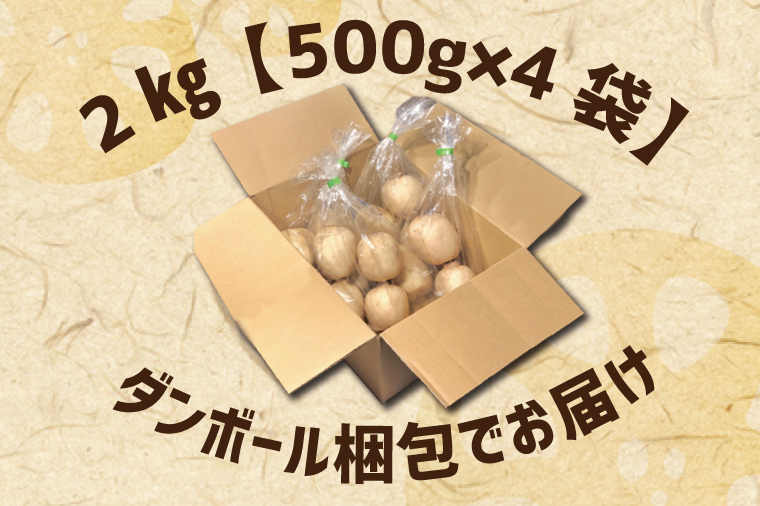 茨城県行方市のふるさと納税 EG-2　【2024年8月下旬より順次発送】レンコン 約2kg