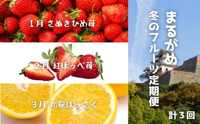 【香川県丸亀市】【冬の定期便3回】丸亀自慢のフルーツ【離島エリア配送不可】 果物類 いちご 苺 イチゴ みかん さぬきひめ 紅ほっぺ苺 はっさく