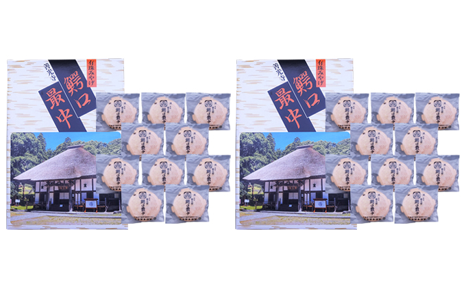 北海道伊達市のふるさと納税 伊達銘菓 有珠善光寺  鰐口最中 20個セット（10個入×2箱）