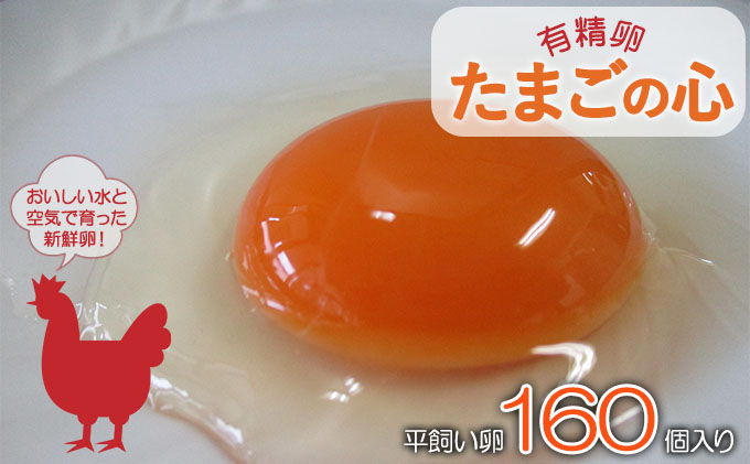 おトク ふるさと納税 U-5 6ヵ月定期便 黄身がしっかり濃厚な卵50個×6