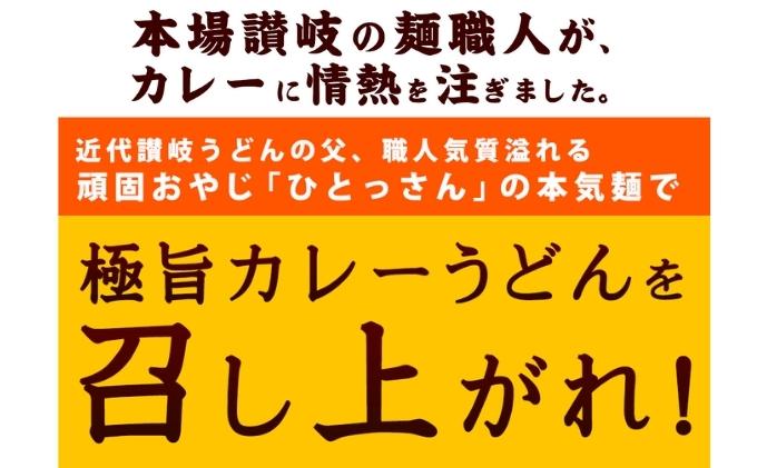 カレーうどん 丸亀からお届け コク旨 カレー うどん 16人前 麺類 乾麺 生麺 半生麺 讃岐 レンジ 本格的 本場 簡単 スパイス 手軽 人気  電子レンジ ご家庭用 家庭用 ギフト 一人暮らし