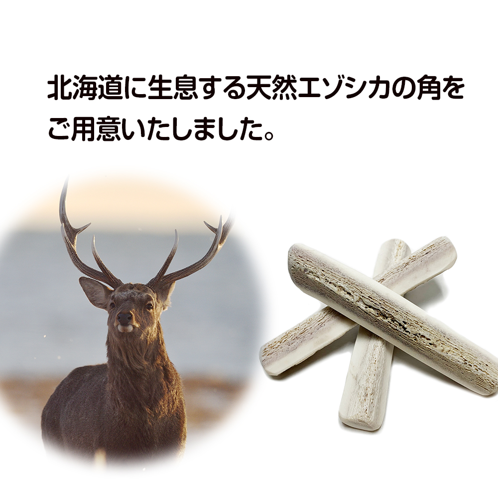 天然蝦夷鹿の角 　犬のおもちゃ　工芸品などに 　２４番 楽天市場】【大型犬用 蝦夷鹿の角】『鹿角さん』 けんか角 1本