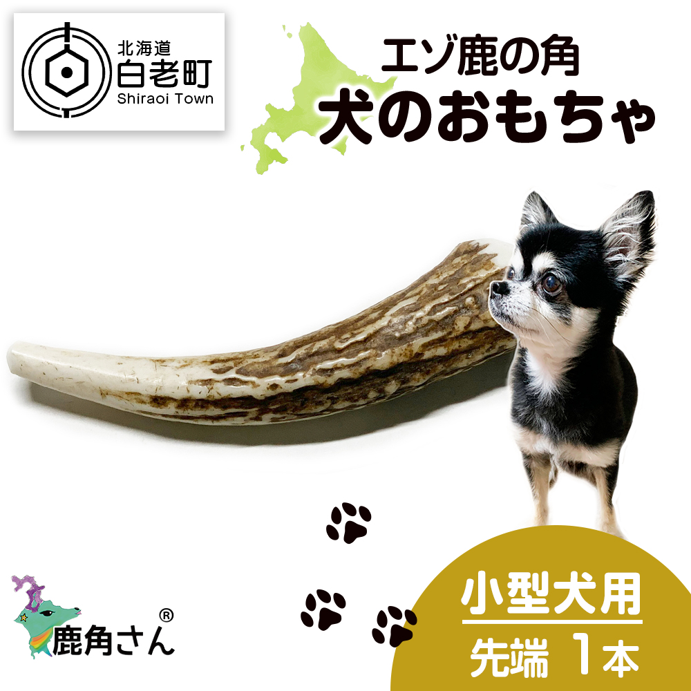 鹿の角 エゾシカ 犬のおもちゃ 『鹿角さん』 小型犬用　先端　1本|株式会社　TATSUMI