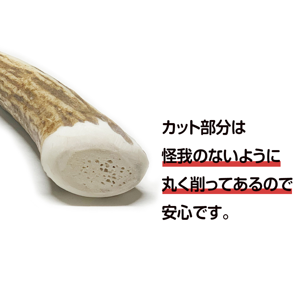 販売済み 蝦夷鹿の角（北海道白老産）９本 - インテリア小物