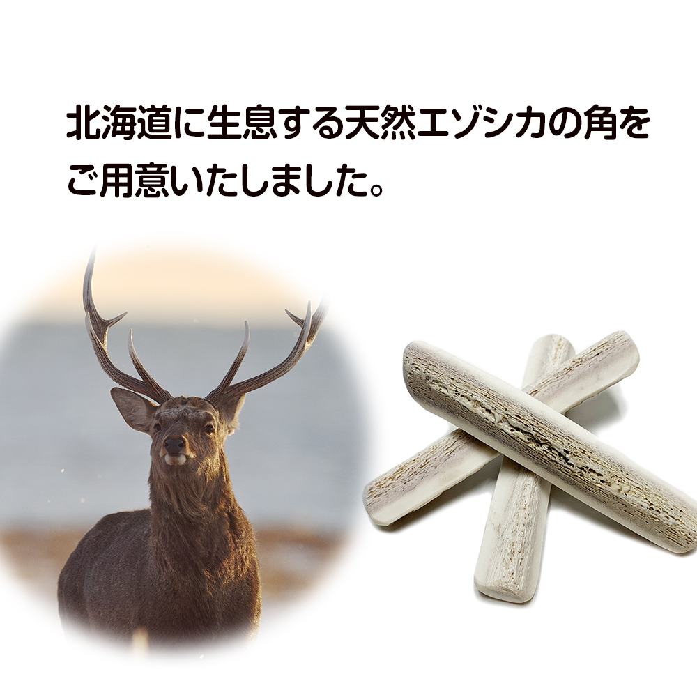 鹿の角 エゾシカ 犬のおもちゃ 『鹿角さん』 大型犬用　割っていないタイプ　１本|株式会社　TATSUMI