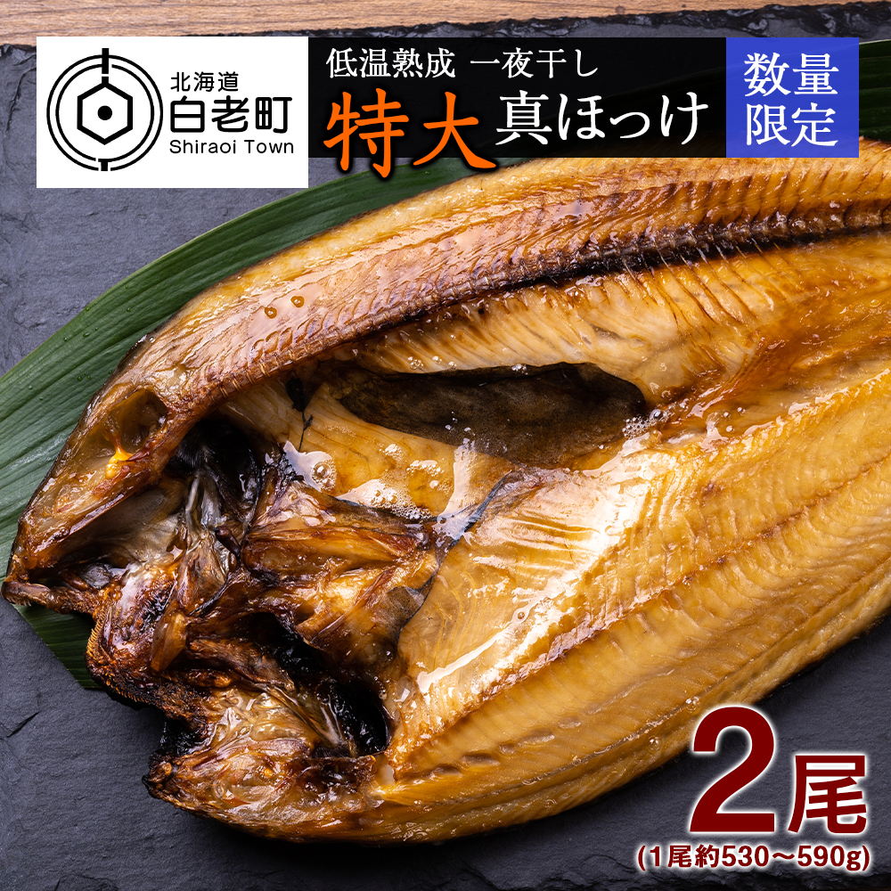 低温熟成 一夜干し 特大 真ほっけ 2尾 <北海道産> / 北海道 低温熟成 一夜干し 特大 真ほっけ 2尾 <北海道産> / 北海道