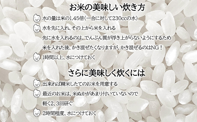 北海道月形町のふるさと納税 北海道 定期便 6ヵ月連続6回 令和6年産 ゆめぴりか 5kg×4袋 特A 精米 米 白米 ご飯 お米 ごはん 国産 ブランド米 肉料理 ギフト 常温 お取り寄せ 産地直送 送料無料