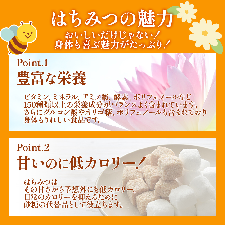 福岡県大木町のふるさと納税 国産蜂蜜ギフト 1,000g　黒ラベル　CD12