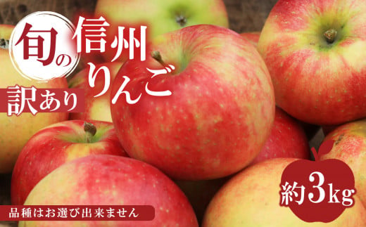 訳あり 旬の信州りんご 3kg(変形果、色薄、雹害等)