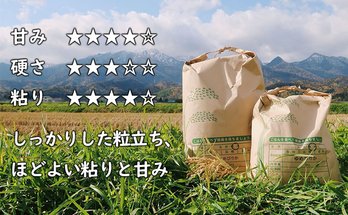 北海道富良野市のふるさと納税 【令和6年度新米】北海道 富良野産 ゆめぴりか 減農薬 10kg 新米 米 (山本農園) お米 ご飯 ごはん 白米 定期 送料無料 北海道 富良野市 道産 直送 ふらの