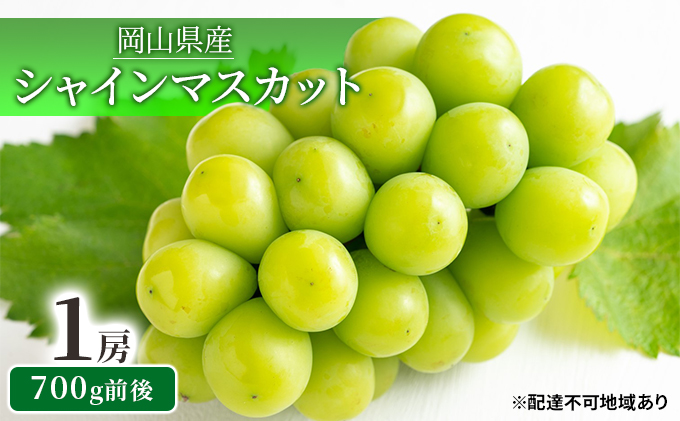 シャインマスカット 1房 700g前後 岡山県産 葡萄 ぶどう 果物 フルーツ 2023年 先行予約