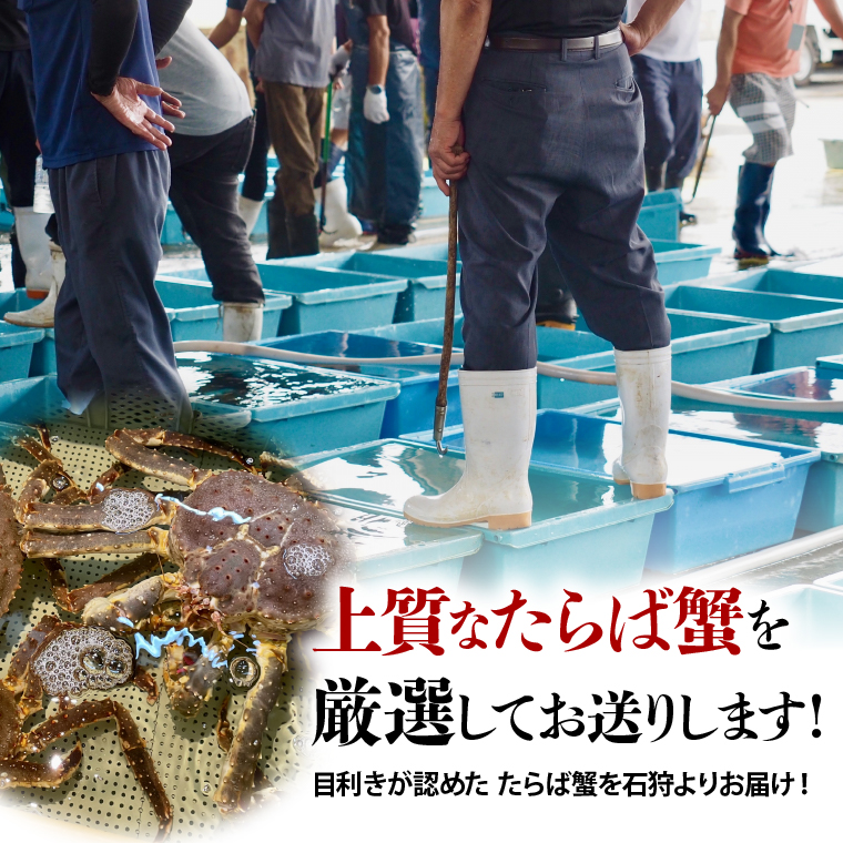 北海道石狩市のふるさと納税 130074 特大 ボイルたらば蟹脚 5Lサイズ(冷凍総重量1.0kg×1肩)