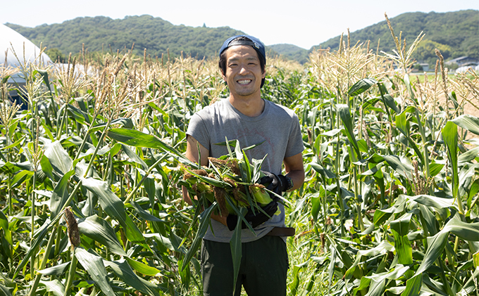 岡山県瀬戸内市のふるさと納税 ［2025年先行予約］ まるでフルーツ！最高糖度25度超え 生で甘い、茹でて美味い！牛窓産 黄色 とうもろこし 「桃太郎コーン」約4kg（8～12本入り） 野菜